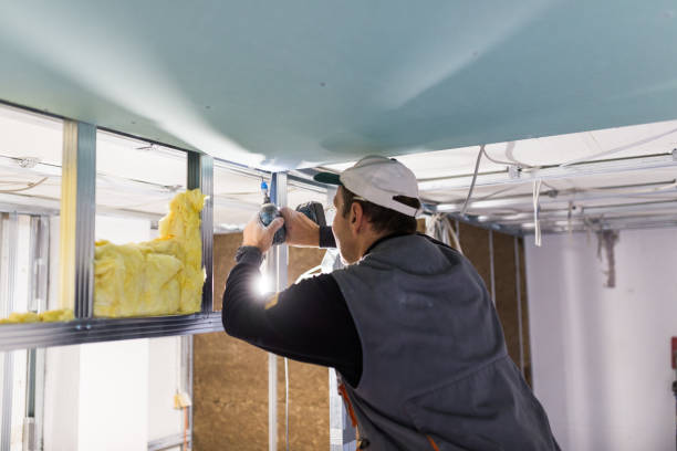 Best Insulation for Commercial Buildings  in Shenandoah, PA