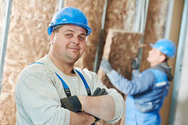 Best Blown-in Insulation  in Shenandoah, PA